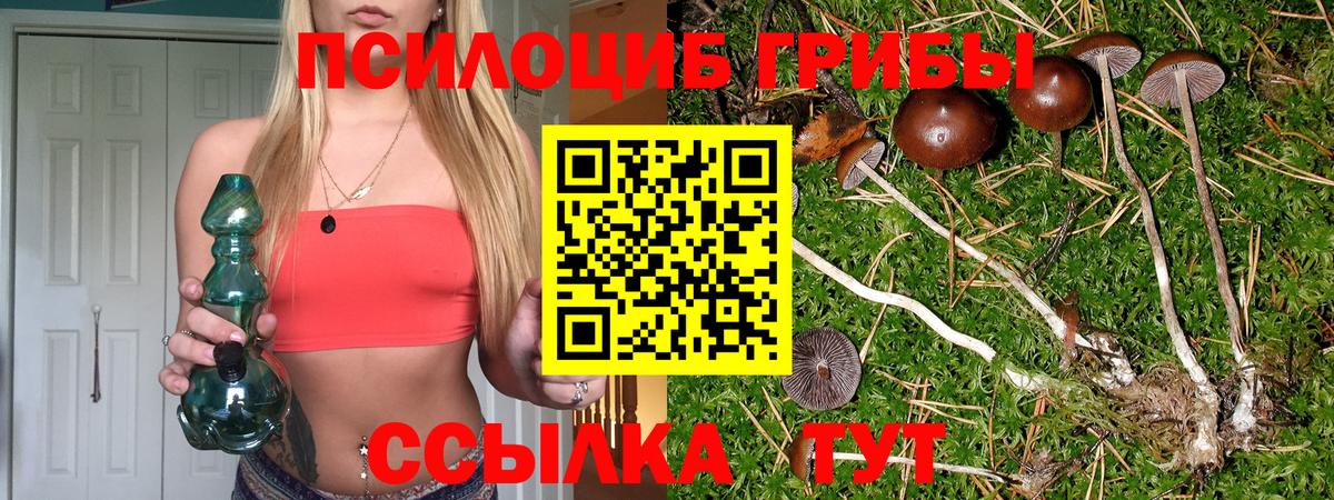 Гусиноозёрск  как найти закладки  Вход с VPN  Псилоцибиновые грибы GOLDEN TEACHER 